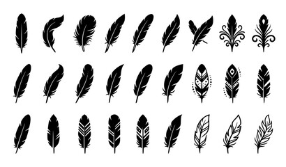 Bird feather vector collection with elegant decorative plume icons lightweight nature symbols and logo design elements © Surjo