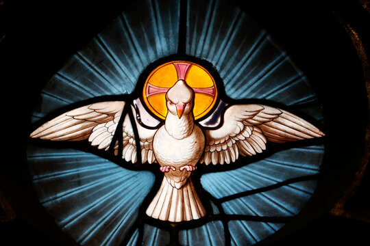 Notre-Dame Collegiate Church. A stained-glass window depicting a dove with outstretched wings, a symbol of the Holy Spirit. 