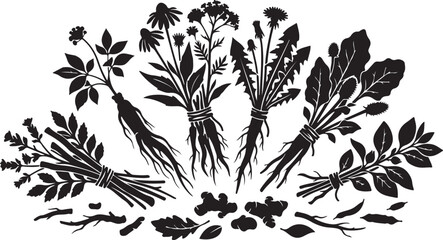 Black and white botanical herbs illustration © RUMA AKTHER