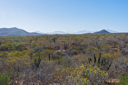 rugged desert and mountain landscape of baja california sur in east cape region near los cabos mexico