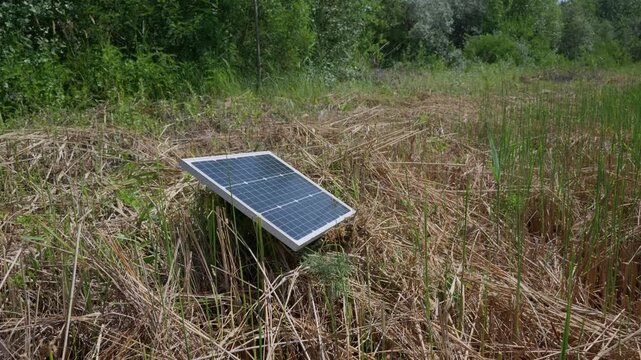 A compact solar panel rests among dry grass and tall reeds under bright daylight. The photovoltaic cell collects sunlight to provide sustainable off-grid electricity outdoors.