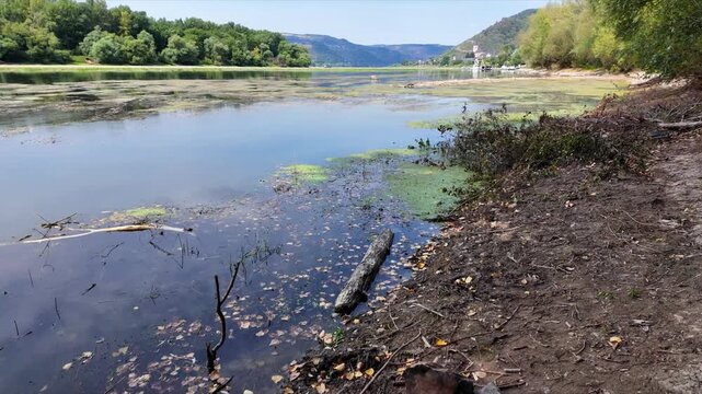 Rhine landscape near Lorch with low water, wooded riverbank and view of the historic wine town.