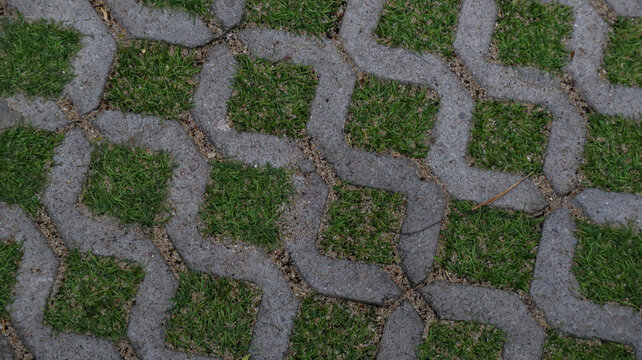 Close Up of Interlocking Paving Stones Filled with Grass Texture