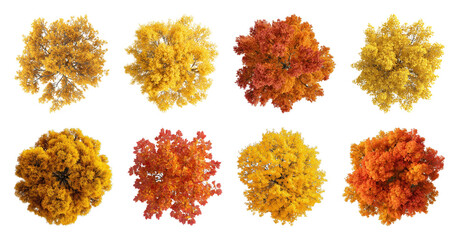 Obraz premium PNG Top view of vibrant autumn trees in full color on transparent background