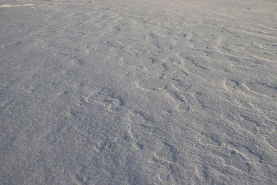 Snow on sunny day in Alaska