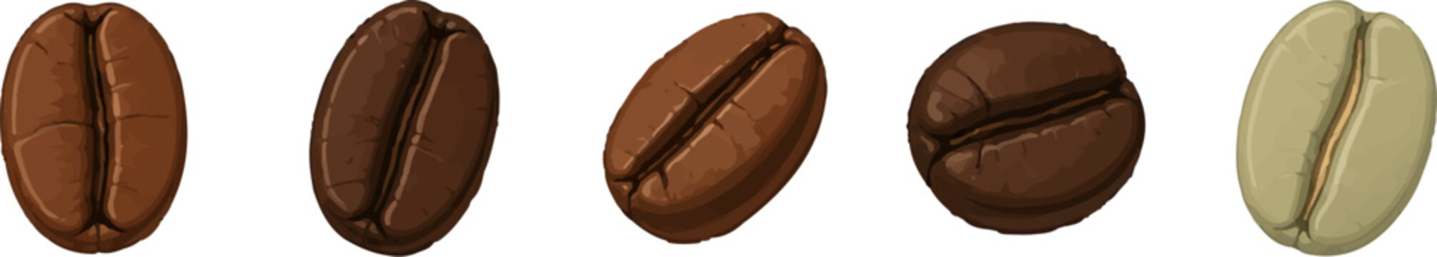 Coffee Bean Set with Roasted and Green Coffee Beans Isolated Realistic Vector Illustration