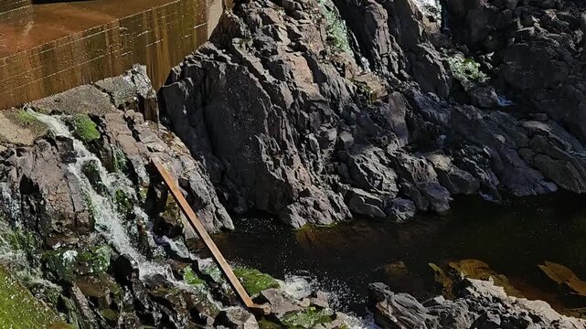 Water trickles down dark mossy rocks from a concrete structure into a shadowed riverbed surrounded by green forest, natural textures, peaceful environment.