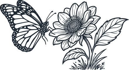 Obraz premium Butterfly and flower illustration in hand drawn vintage art style.