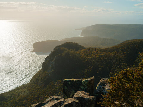 Scenic view of forest-covered hills in Tasmania, Australia 