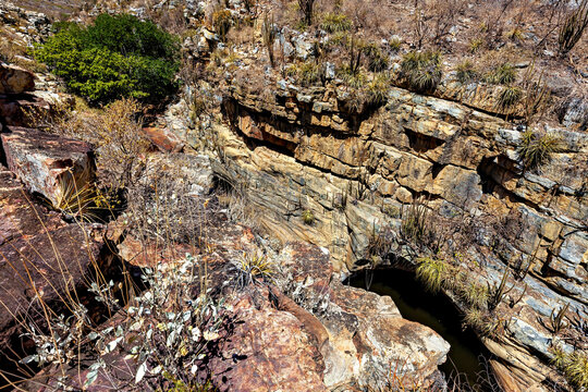 The thorny scrub savannah in the Caatinga region of the Brazilian states of Pernambuco and Bahia