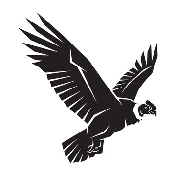 Andean condor vector illustration of a flying bird of prey with spread wings for wildlife emblem and logo design