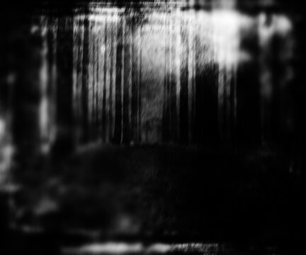 Dark scary forest, Halloween spooky landscape