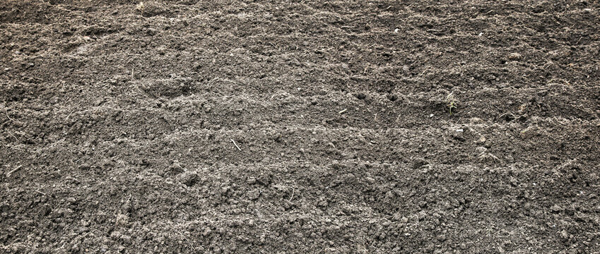 Panorama of plowed land
