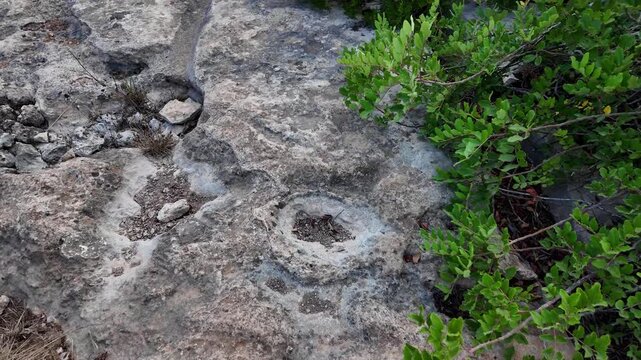 Ancient Cart Ruts on Xemxija heritage trail, parallel cartways groves cut into bare rock.