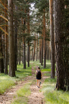Woman enjoying a walk with her dachshund on a trail in the forest