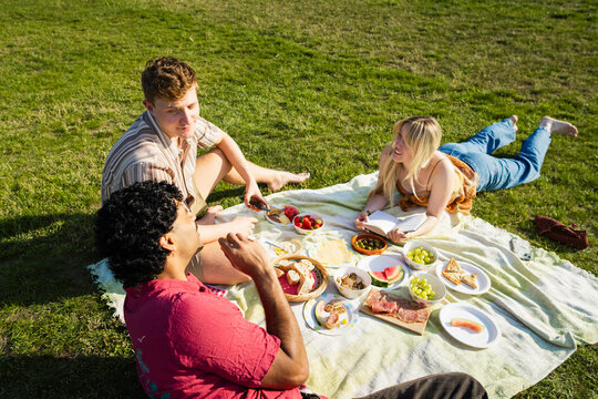 Friends talking at a picnic