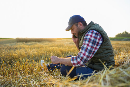 Phone Call During Harvest