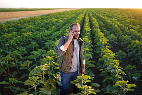 Farmer Taking a Business Call