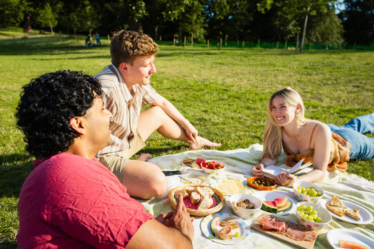 Friends talking on a picnic blanket
