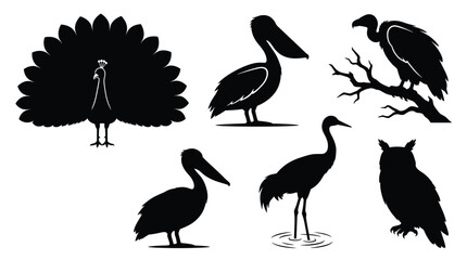 Fototapeta premium Collection of black bird silhouettes including a peacock, a pelican, a vulture on a branch, a crane and an owl on a white background