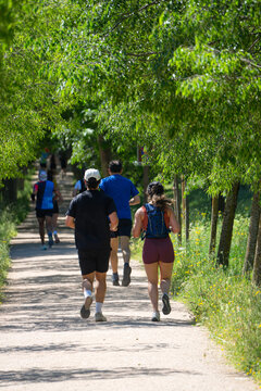 Runners training outdoors on a trail surrounded by vegetation