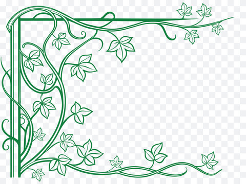 Elegant green floral corner frame with decorative vine border isolated on transparent background. Hand drawn botanical outline featuring leaves and curling branches. Perfect for invitations, 