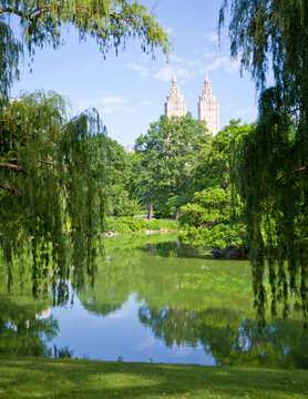 A beutiful lake in Central Park in New York City