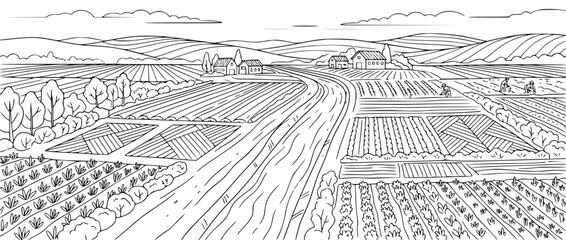 Fototapeta premium Panoramic rural farm landscape with crop fields and rolling hills line art