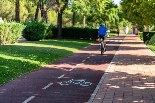 Cyclist riding away along a marked bicycle lane beside a paved walkway in a leafy city park