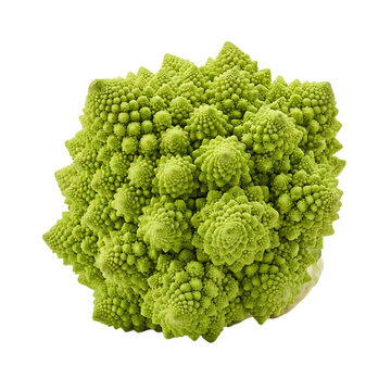 Fresh Green Romanesco Broccoli Isolated On Transparent Background
