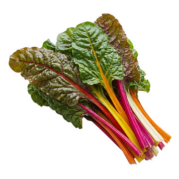 Fresh Rainbow Swiss Chard Bunch Isolated On Transparent Background