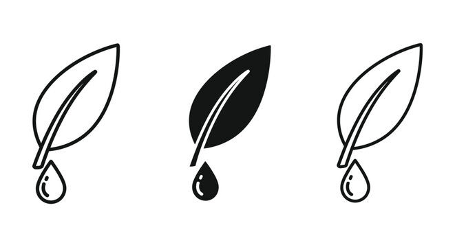 Water dripping from leaves illustration