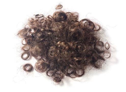 pile of cut curly brown hair isolated white background, messy tangled locks and trimmed ringlets in close-up