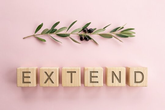 Word Extend Spelled in Wooden Blocks with Olive Branch on Pink Background