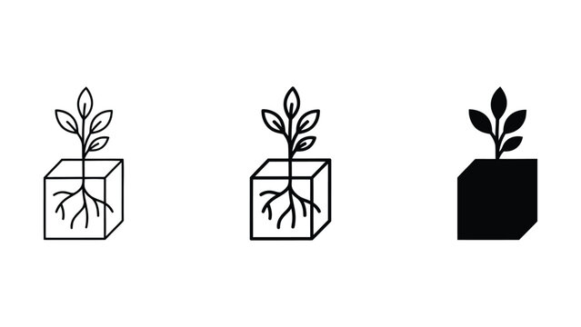 Set of three black and white line showing a small plant growing out of a square cube, representing growth and development concepts