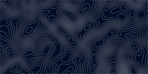Abstract topographic map background in dark blue with white and light gray contour curves creating organic terrain elevation pattern, seamless geographic relief vector texture design. © Hasan