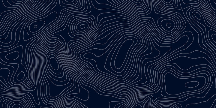 Abstract topographic map background in dark blue with white and light gray contour curves creating organic terrain elevation pattern, seamless geographic relief vector texture design.