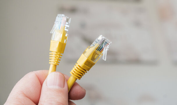 Hand holding two yellow ethernet network cables with RJ45 connectors.
