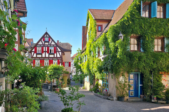 Leafy cobblestone street with half timbered architecture in the beautiful village of Besigheim, Germany