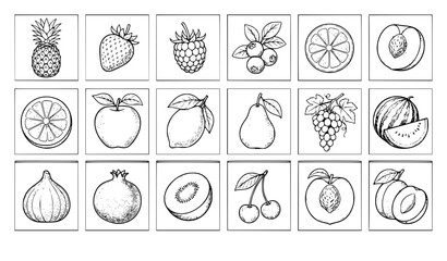 Vintage botanical fruit and berry doodles vector set with 16 intricate black line art organic food sketches © MstShalina