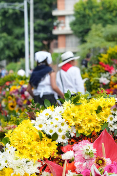 Two young Colombian children in traditional silletero clothing standing with vibrant colorful flower silletas during the Medellin Flower Fair festival parade in Colombia