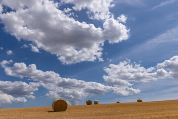 Obraz premium Hay bales after harvesting, with a blue sky and fluffy clouds overhead