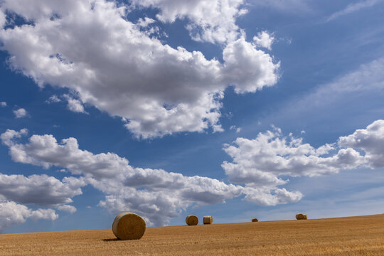 Hay bales after harvesting, with a blue sky and fluffy clouds overhead
