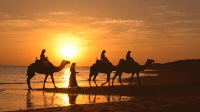 Silhouettes of camels and people walking along a beach at sunset, reflecting in the wet sand, cinematic motion.