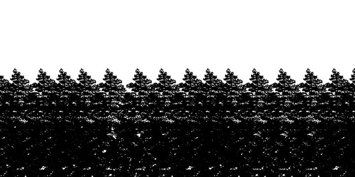 Seamless pattern with a row of pine trees, forest silhouette isolated on transparent background