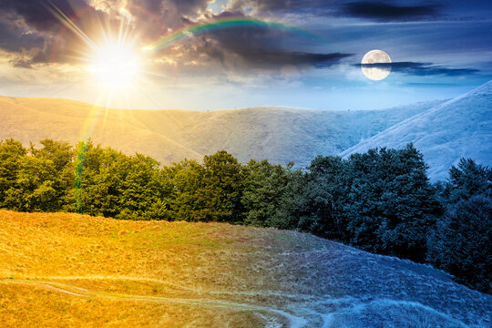carpathian mountain landscape in summer. day meet night. primeval beech forest on the grassy hill. sun and moon over epic scenery of ukrainian highlands. pristine ecosystem of europe for wallpaper