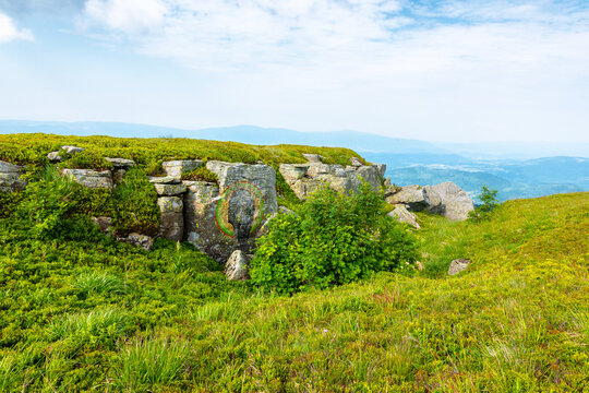 alpine meadow in summer nature. wild grass and grey rocks in carpathian landscape. mountain scenery of perechyn district, ukraine on a sunny day