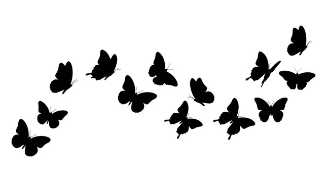 Flying Butterfly Silhouettes Set, Flying butterflies group in wave motion, Elegant insect silhouettes for wall decals and nature design, vector, insect, wave, group, black, nature, wings, flight.
