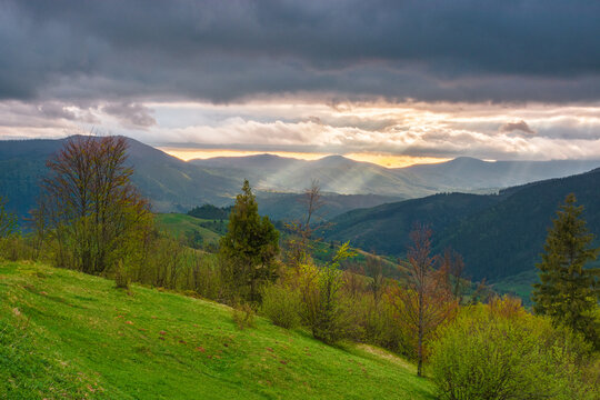 mountainous countryside scenery in the afternoon. gloomy sky view above the valley. green fields and trees on the hills. volatile nature scenery of carpathian mountains