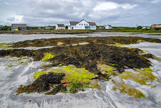 Ireland, Aarand Islands, Inishmore, Kilmurvey Beach, seaweed on the sand